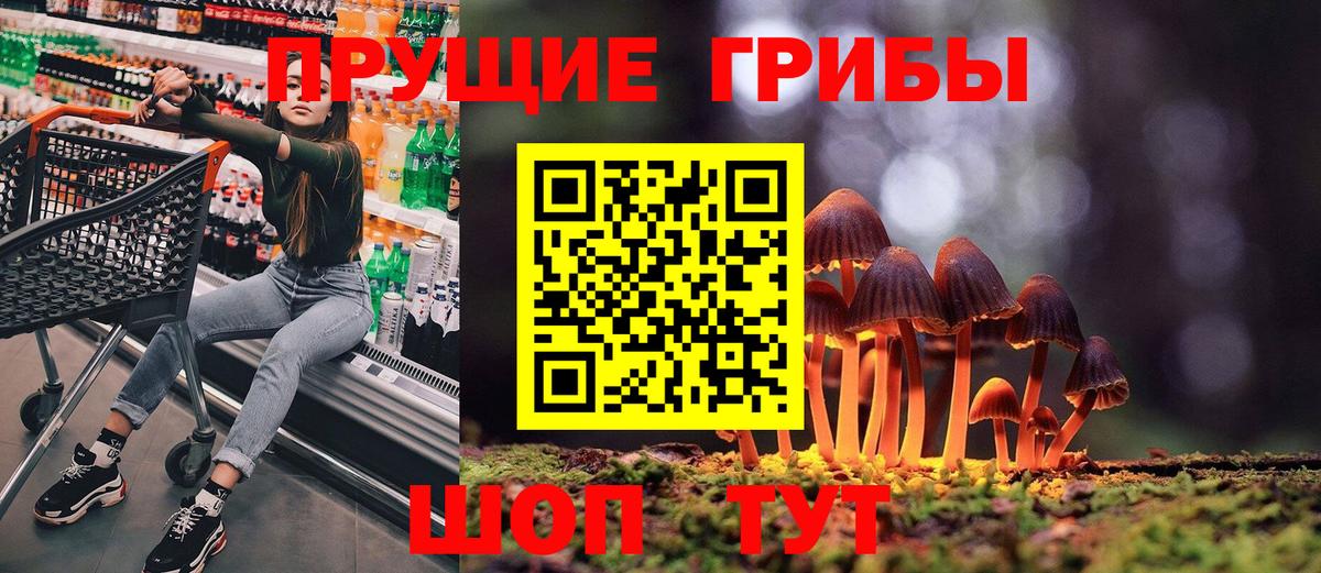 Зима  Псилоцибиновые грибы Psilocybine cubensis  купить   Вход с VPN 